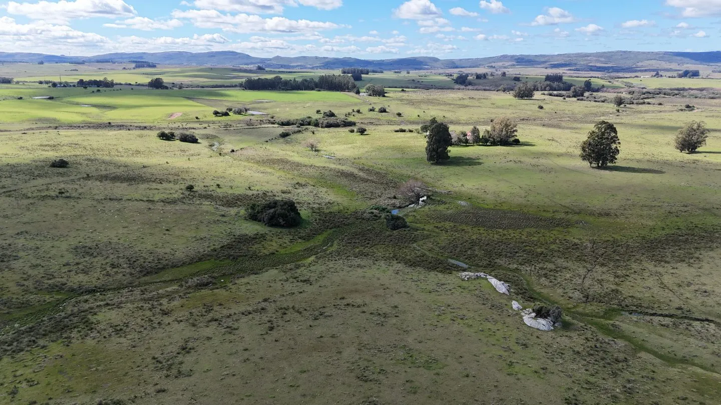 Campo en venta de 57 ha en Paso Dutra Maldonado Uruguay. — foto 18