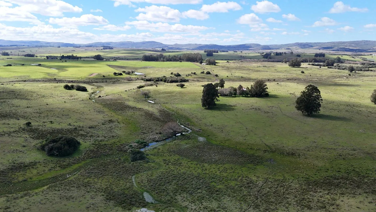 Campo en venta de 57 ha en Paso Dutra Maldonado Uruguay. — foto 19