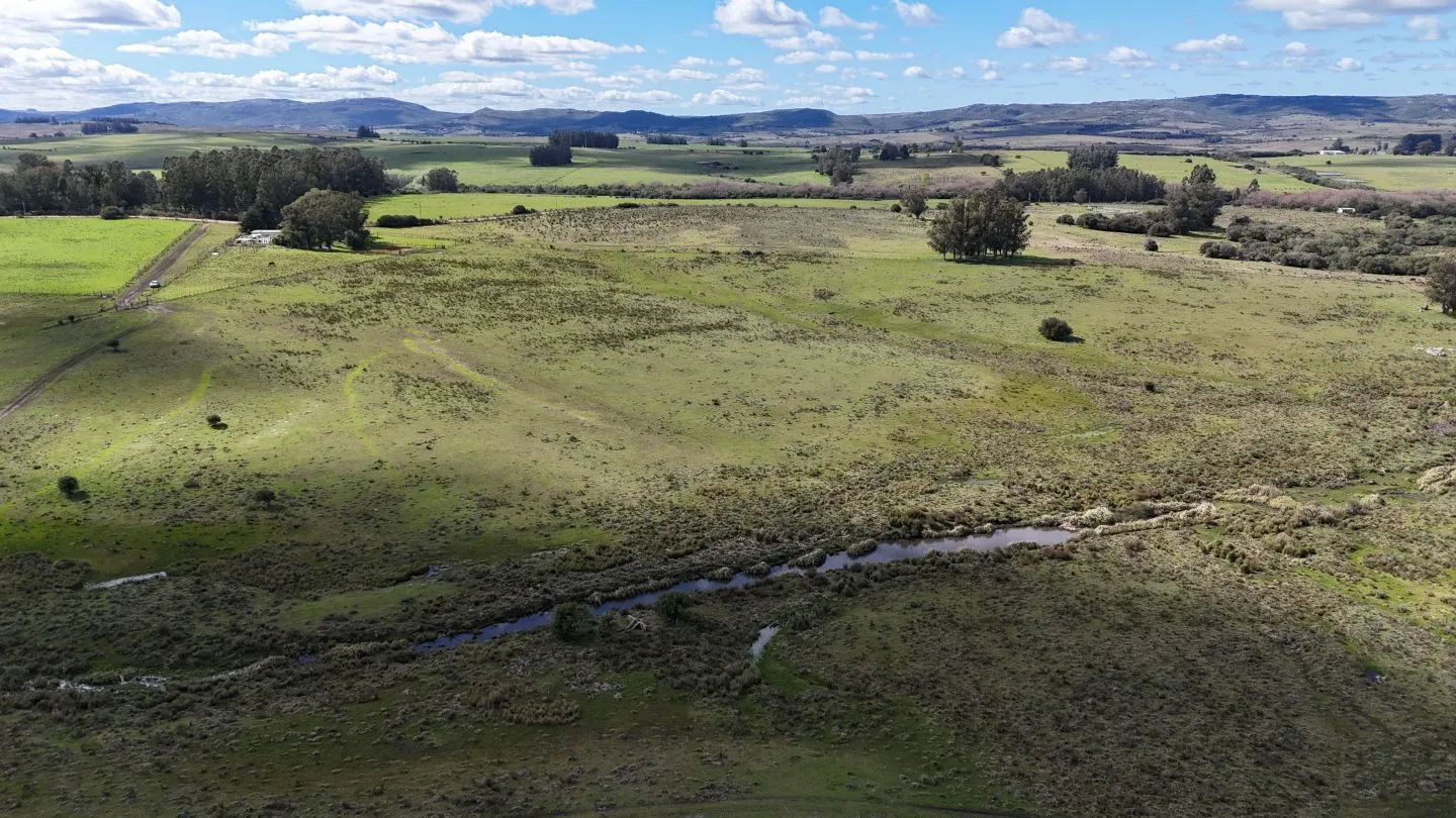 Campo en venta de 57 ha en Paso Dutra Maldonado Uruguay. — foto 20