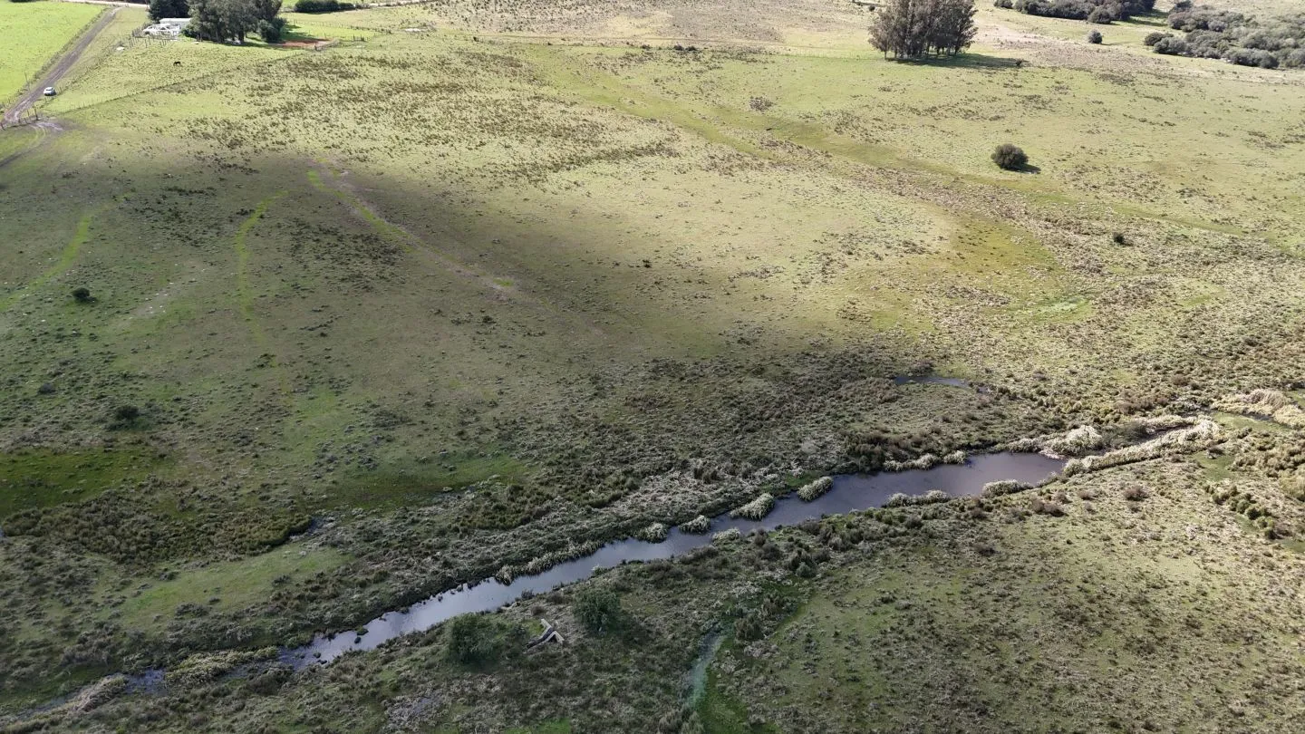 Campo en venta de 57 ha en Paso Dutra Maldonado Uruguay. — foto 21