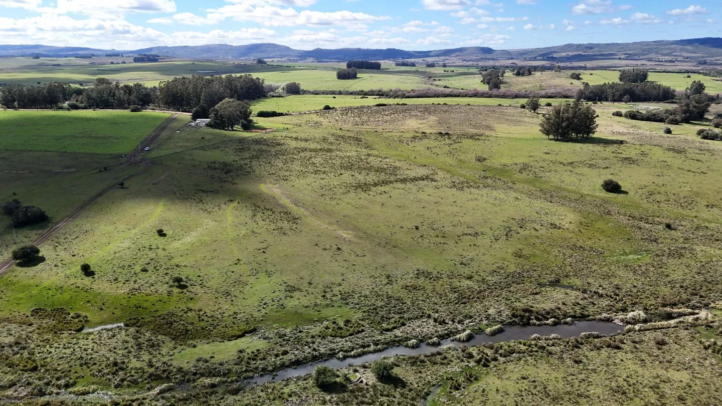 Campo en venta de 57 ha en Paso Dutra Maldonado Uruguay. — foto 22