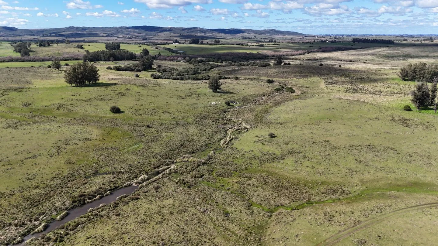 Campo en venta de 57 ha en Paso Dutra Maldonado Uruguay. — foto 23