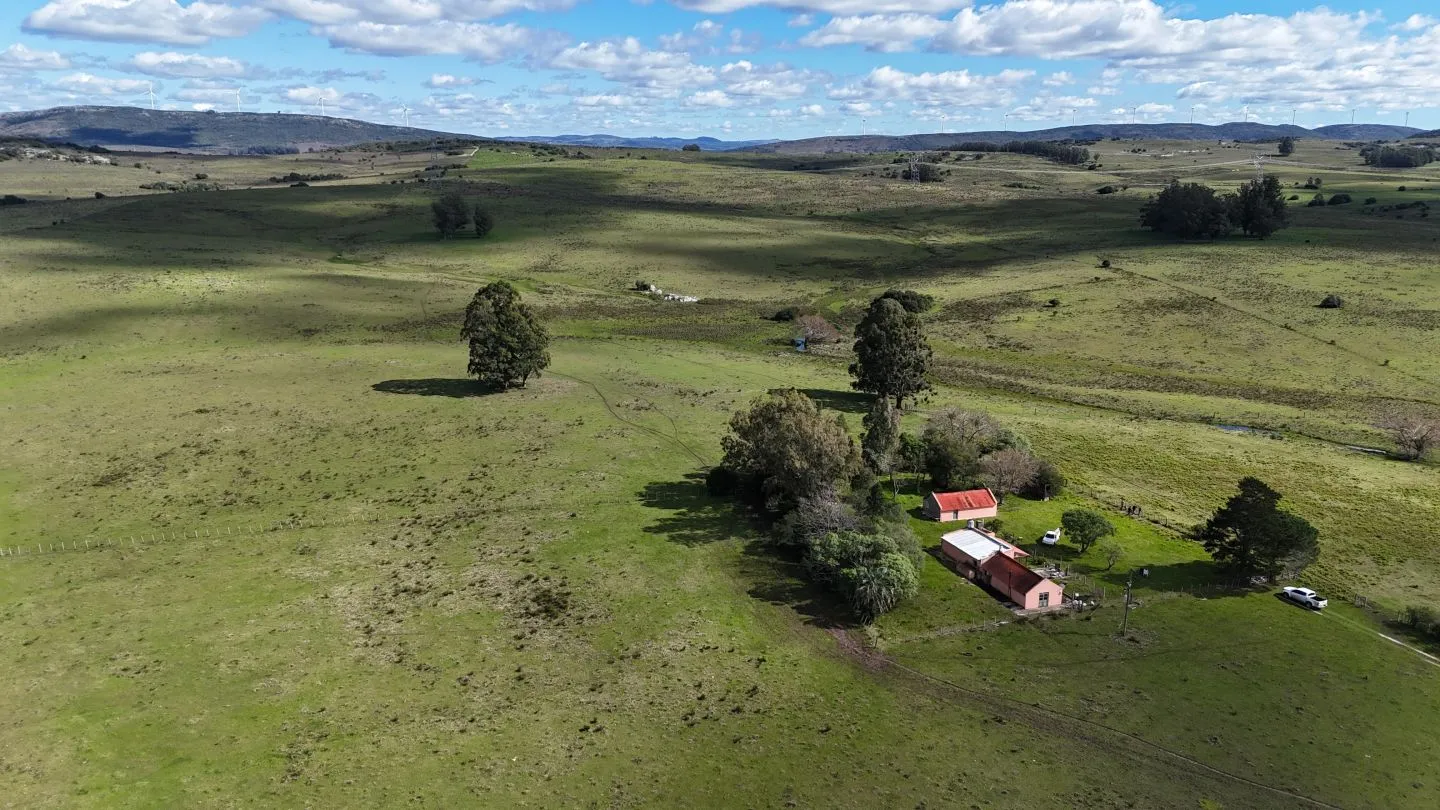 Campo en venta de 57 ha en Paso Dutra Maldonado Uruguay. — foto 24