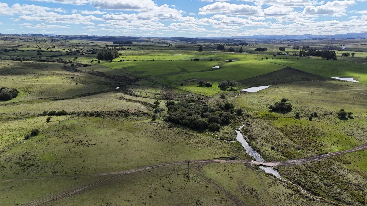 Campo en venta de 57 ha en Paso Dutra Maldonado Uruguay. — foto 25