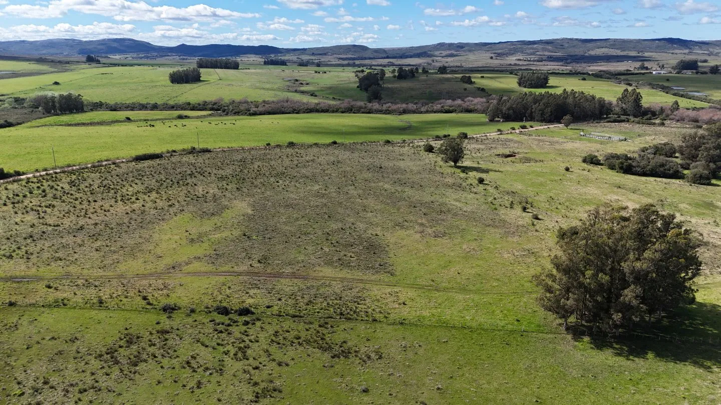 Campo en venta de 57 ha en Paso Dutra Maldonado Uruguay. — foto 26