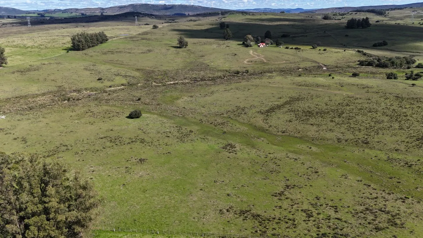 Campo en venta de 57 ha en Paso Dutra Maldonado Uruguay. — foto 27