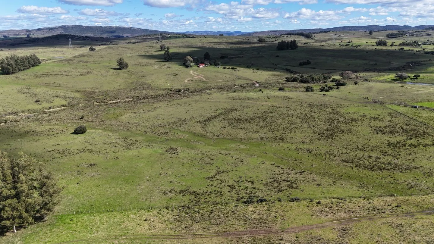 Campo en venta de 57 ha en Paso Dutra Maldonado Uruguay. — foto 28