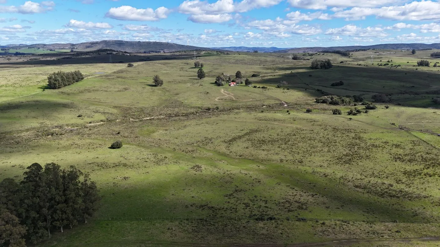 Campo en venta de 57 ha en Paso Dutra Maldonado Uruguay. — foto 29