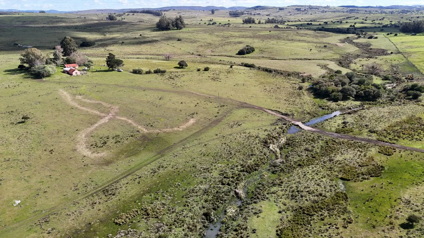 Campo en venta de 57 ha en Paso Dutra Maldonado Uruguay. — foto 30