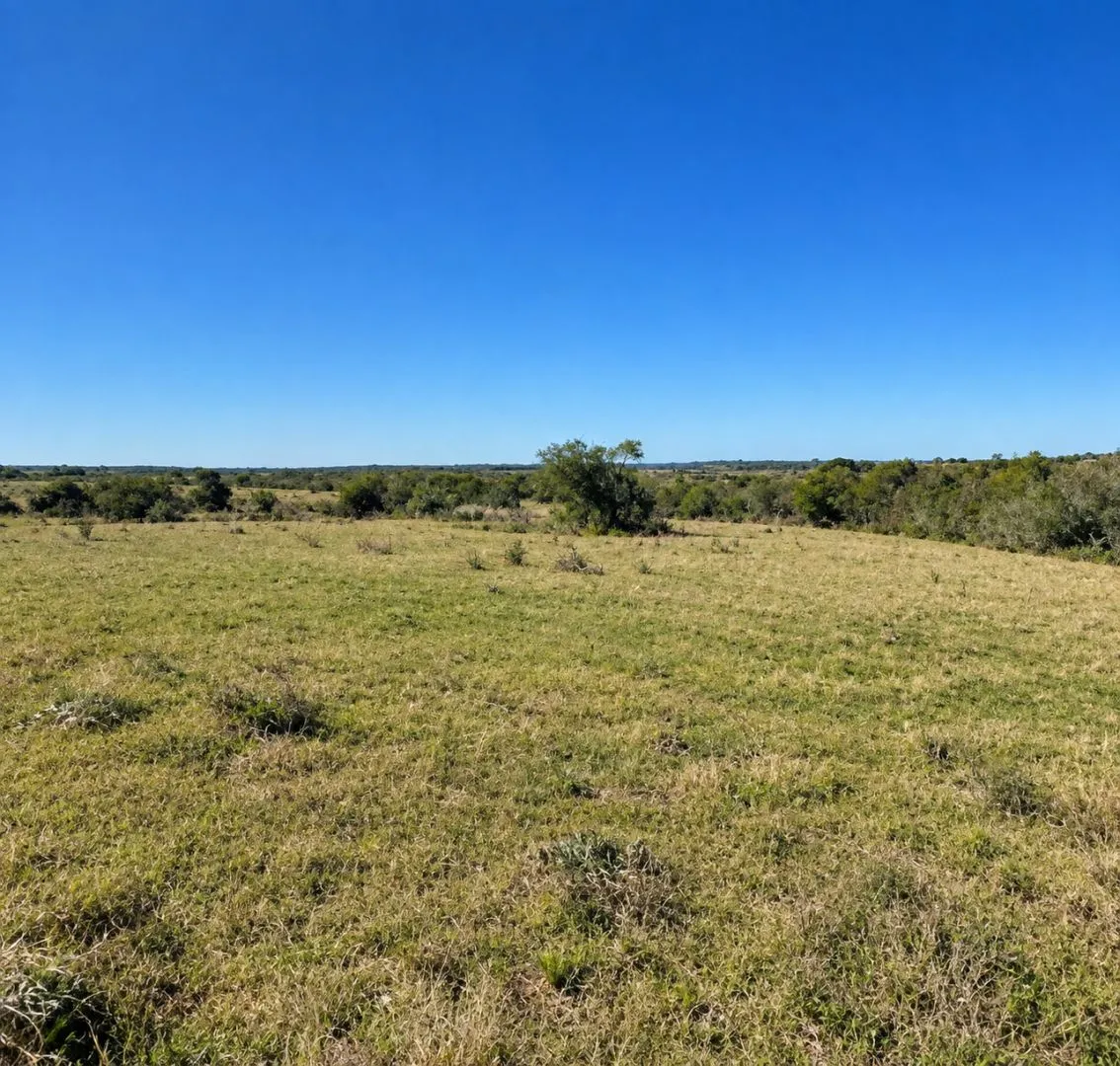 Venta chacra 10has en Garzon — foto 1