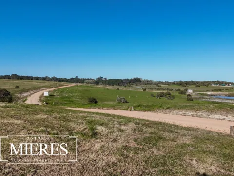 Venta lote 4000m2 en barrio privado premium a 5' de Jose Ignacio — foto 2
