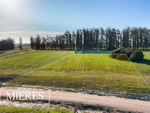 Venta lote 4000m2 en barrio privado premium a 5' de Jose Ignacio — foto 3