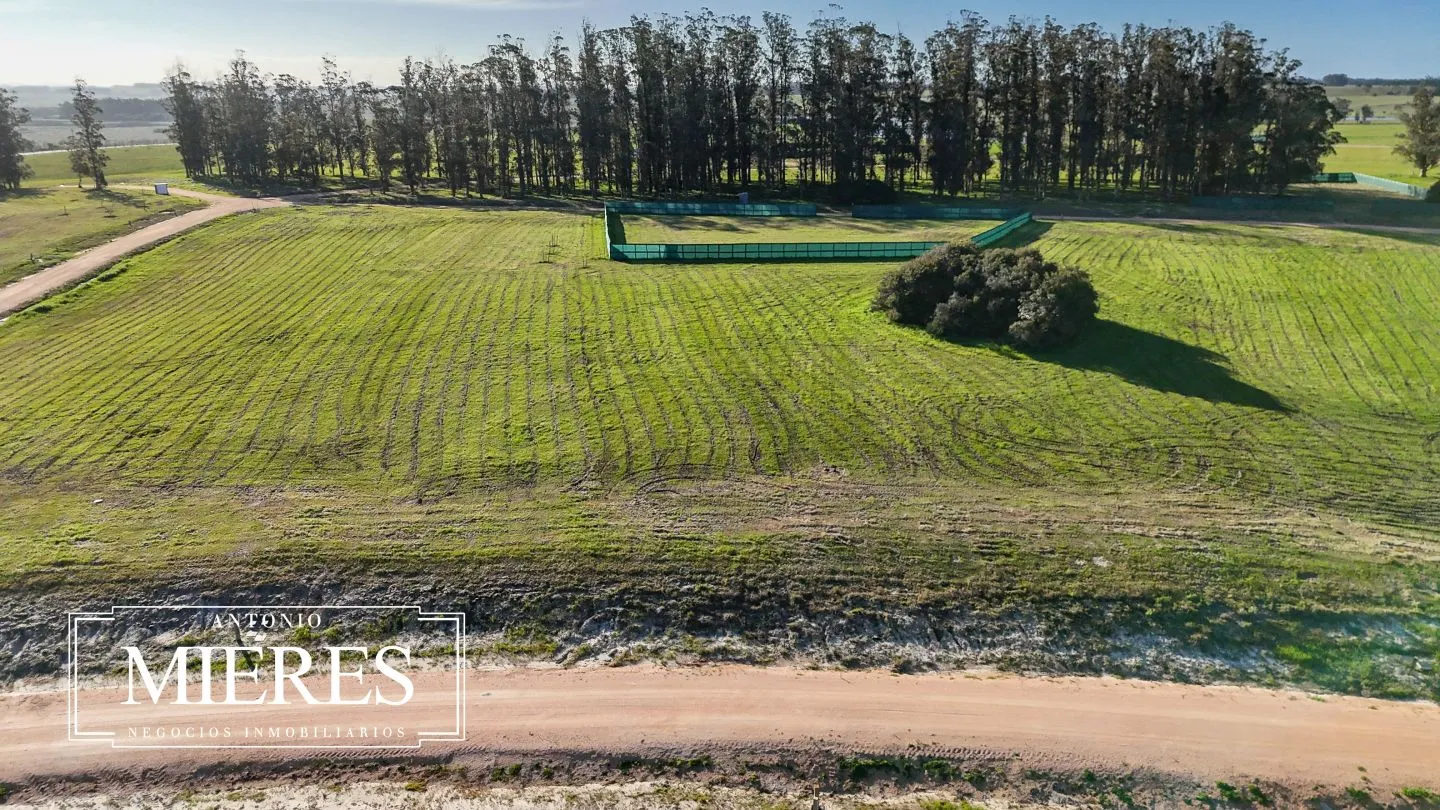 Venta lote 4000m2 en barrio privado premium a 5' de Jose Ignacio — foto 11