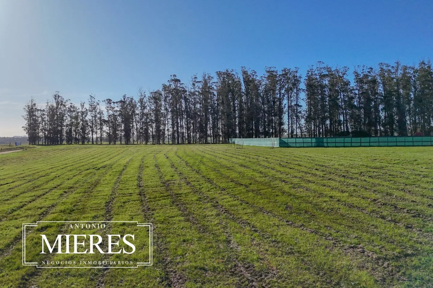 Venta lote 4000m2 en barrio privado premium a 5' de Jose Ignacio — foto 12