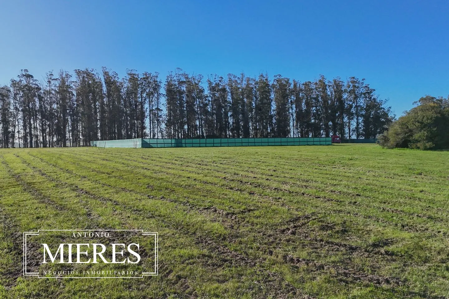 Venta lote 4000m2 en barrio privado premium a 5' de Jose Ignacio — foto 13