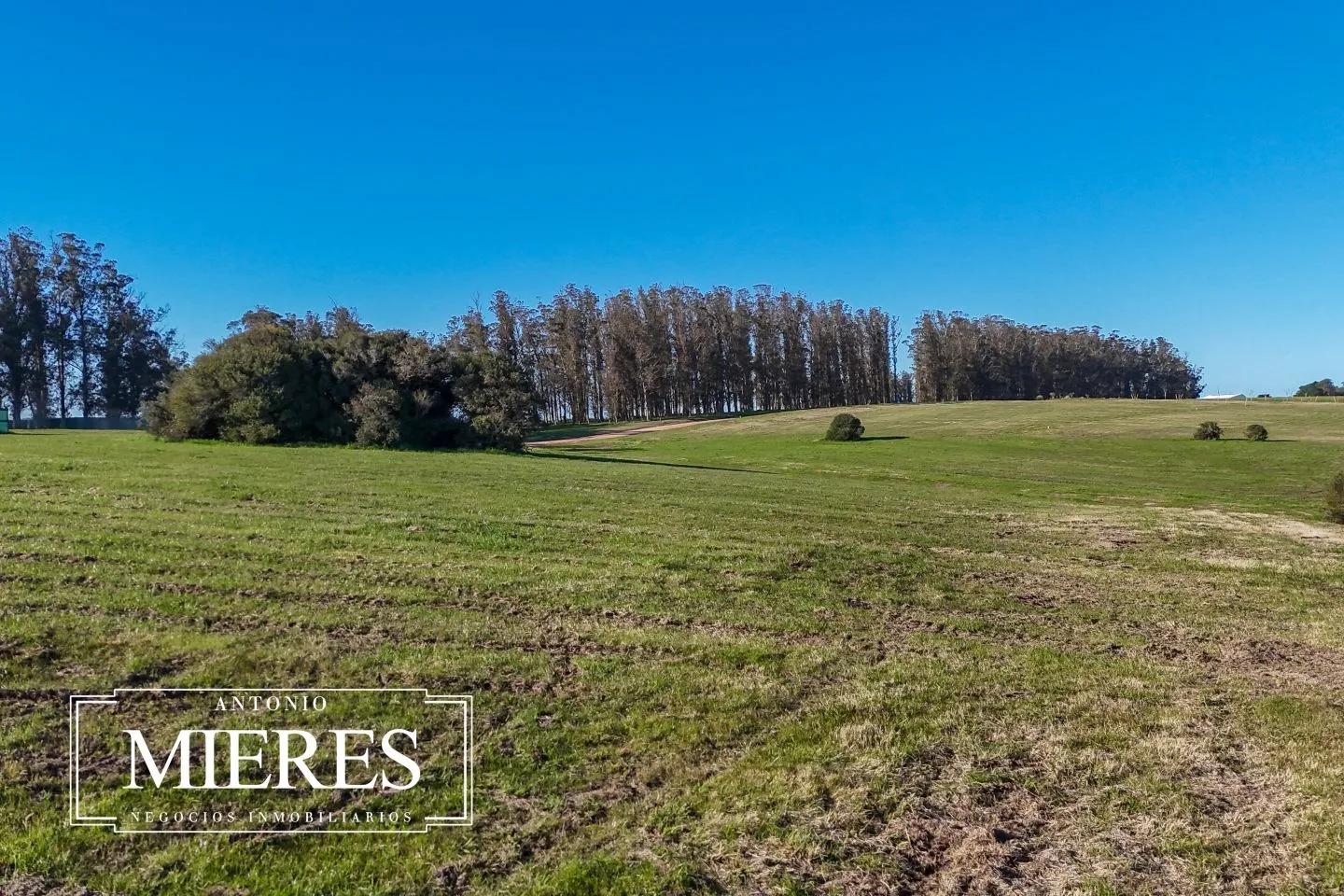 Venta lote 4000m2 en barrio privado premium a 5' de Jose Ignacio — foto 14