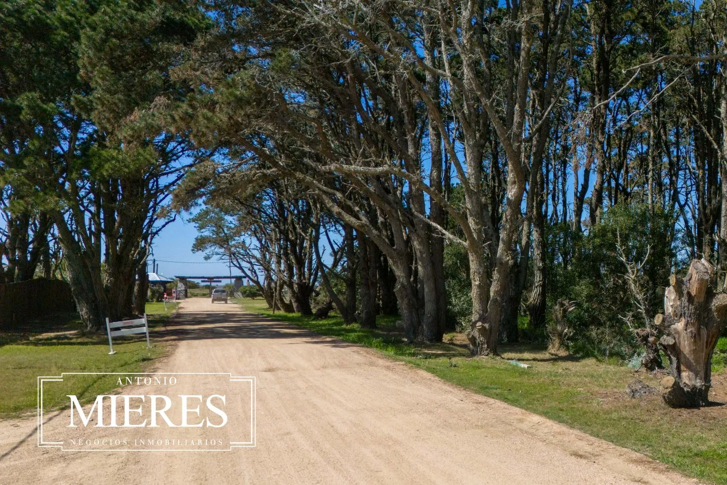 TERRENO EN SAN VICENTE A UNA CUADRA DEL MAR — foto 9