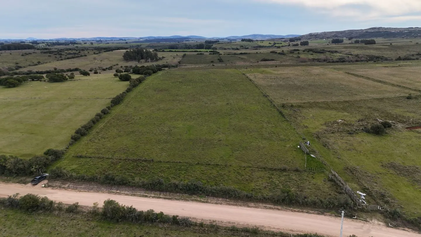 Campo de 30ha  en Maldonado con cañada y buen acceso — foto 2