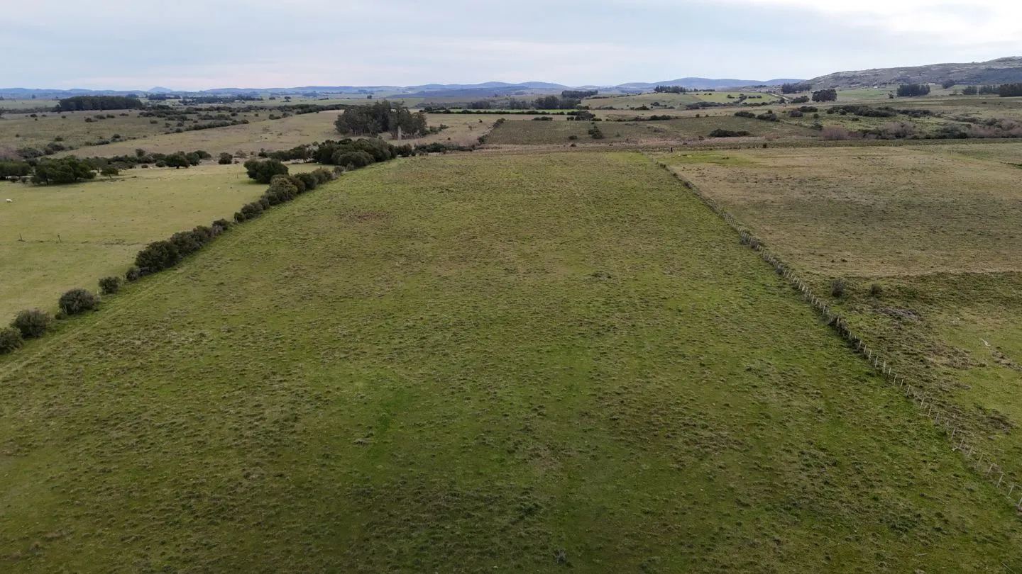 Campo de 30ha  en Maldonado con cañada y buen acceso — foto 3