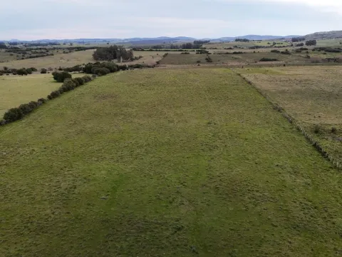 Campo de 30ha  en Maldonado con cañada y buen acceso — foto 3
