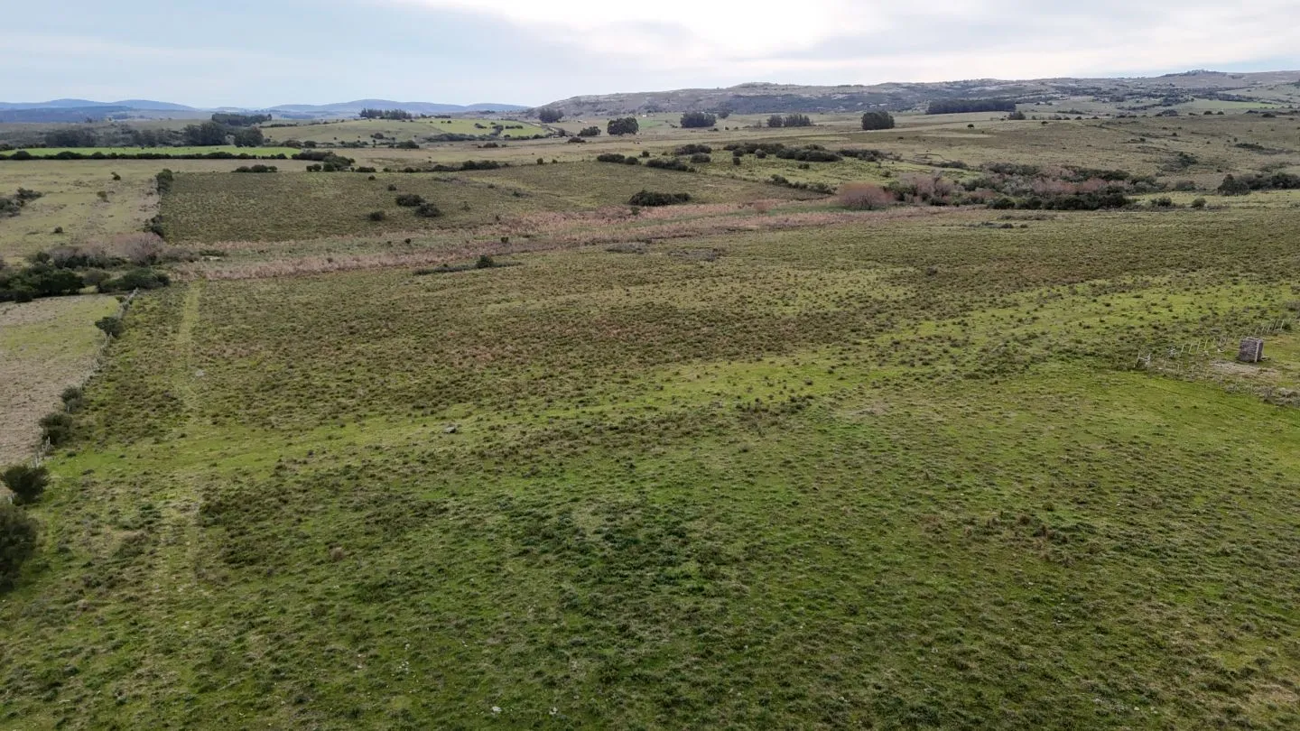 Campo de 30ha  en Maldonado con cañada y buen acceso — foto 4