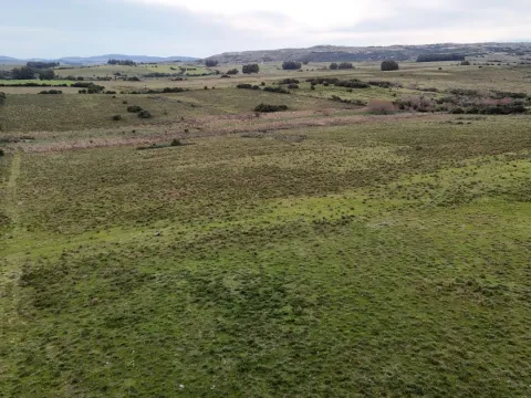 Campo de 30ha  en Maldonado con cañada y buen acceso — foto 4