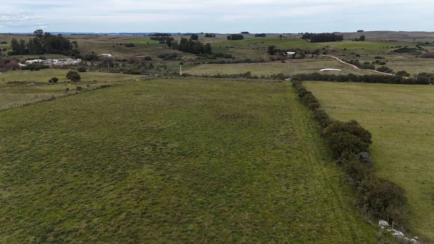 Campo de 30ha  en Maldonado con cañada y buen acceso — foto 5