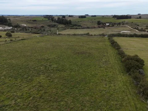 Campo de 30ha  en Maldonado con cañada y buen acceso — foto 5