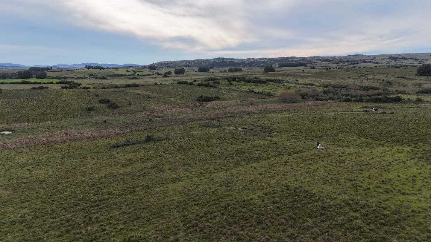 Campo de 30ha  en Maldonado con cañada y buen acceso — foto 6