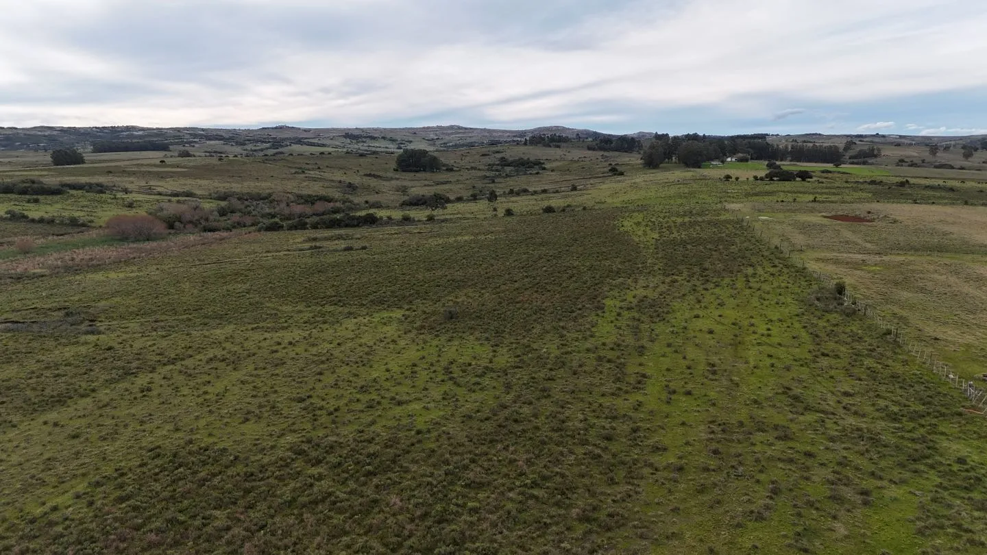Campo de 30ha  en Maldonado con cañada y buen acceso — foto 7