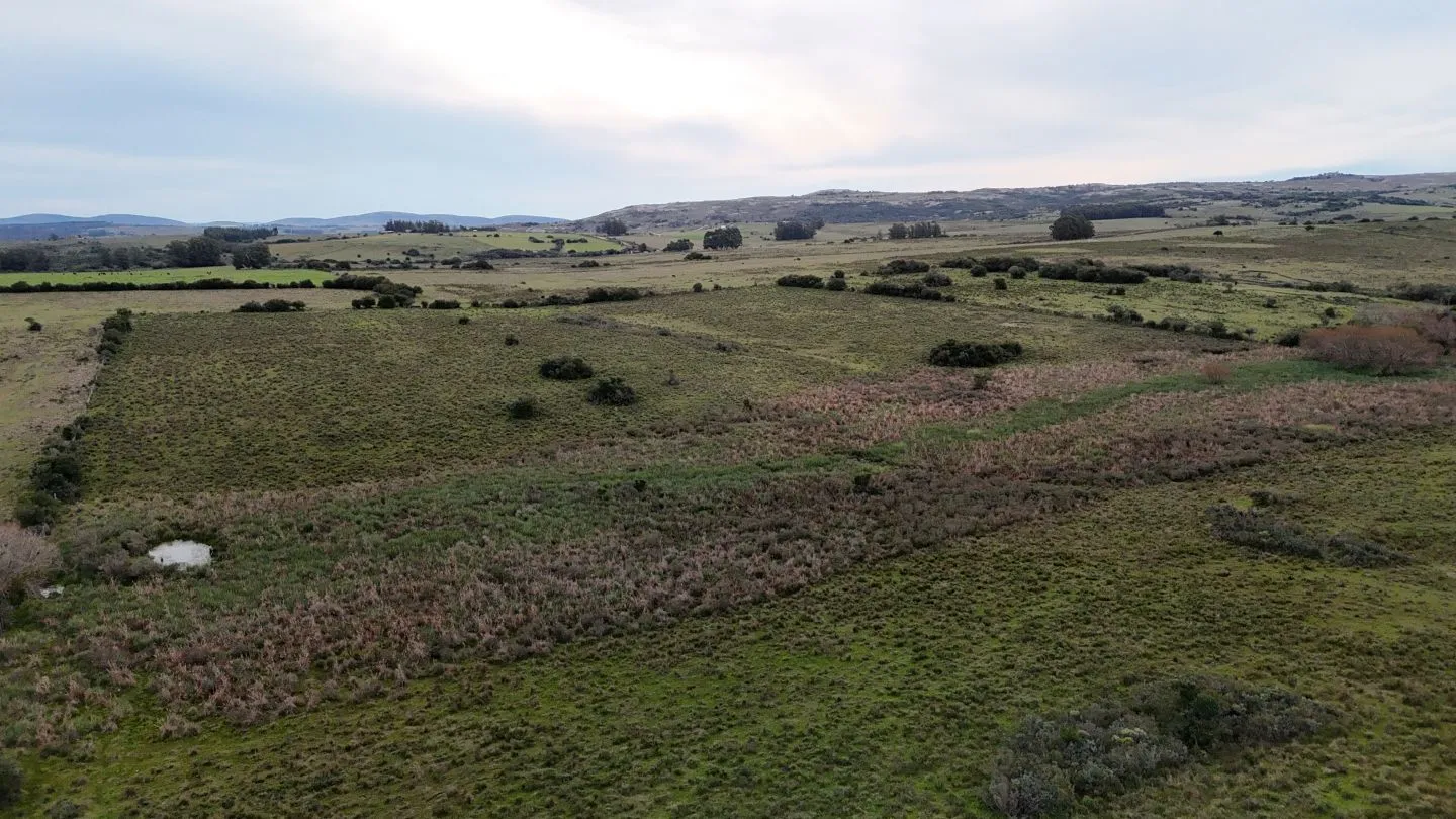 Campo de 30ha  en Maldonado con cañada y buen acceso — foto 8