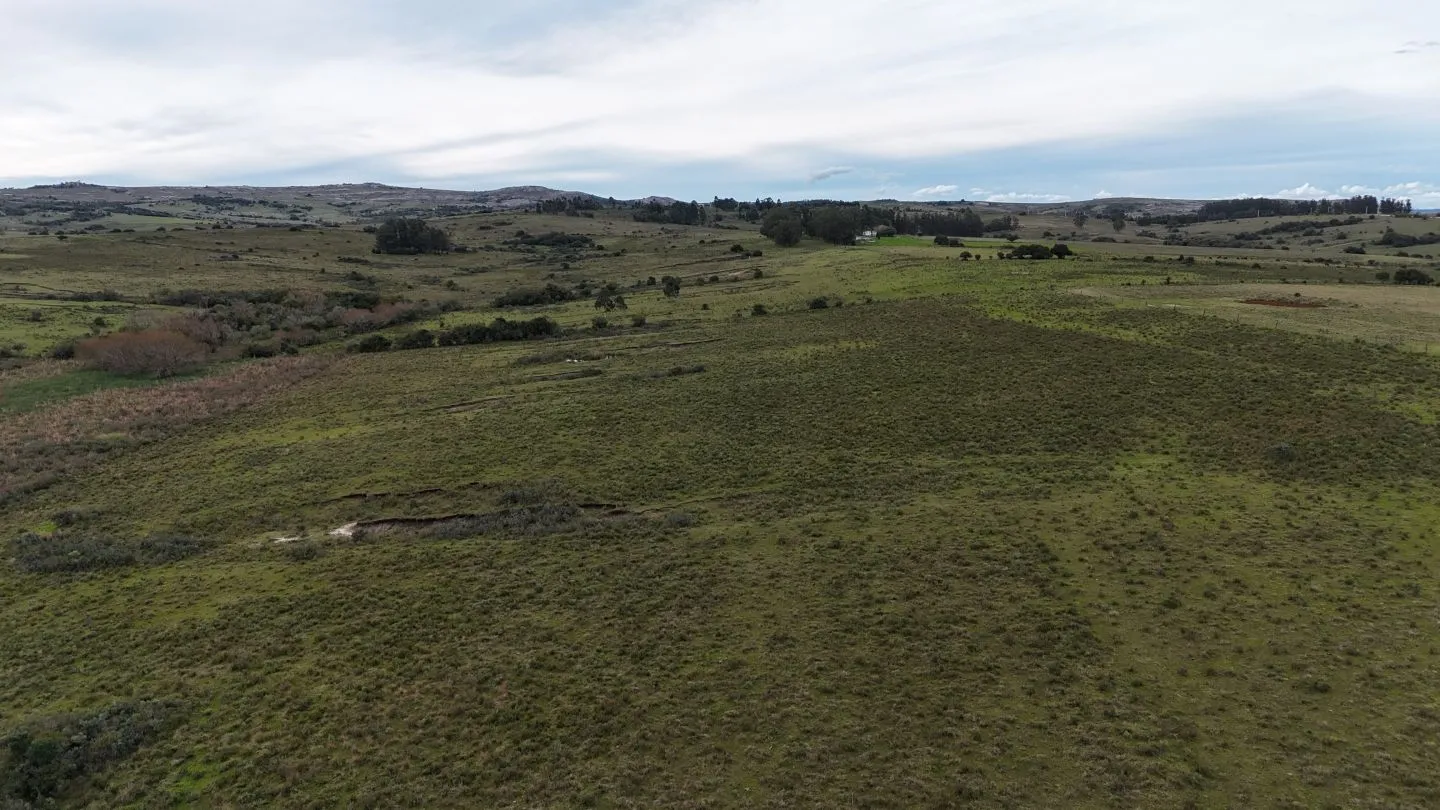 Campo de 30ha  en Maldonado con cañada y buen acceso — foto 9
