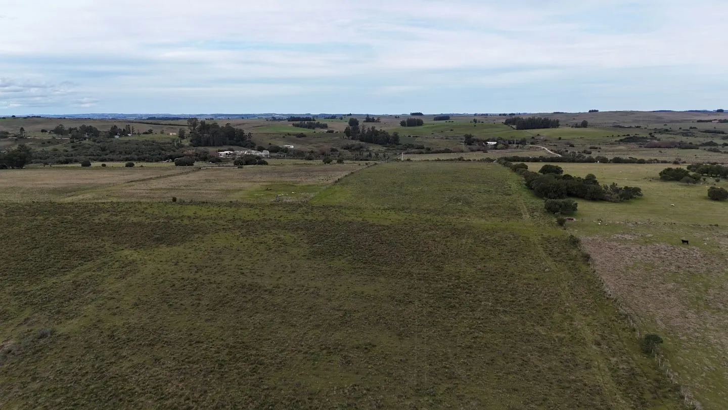 Campo de 30ha  en Maldonado con cañada y buen acceso — foto 10