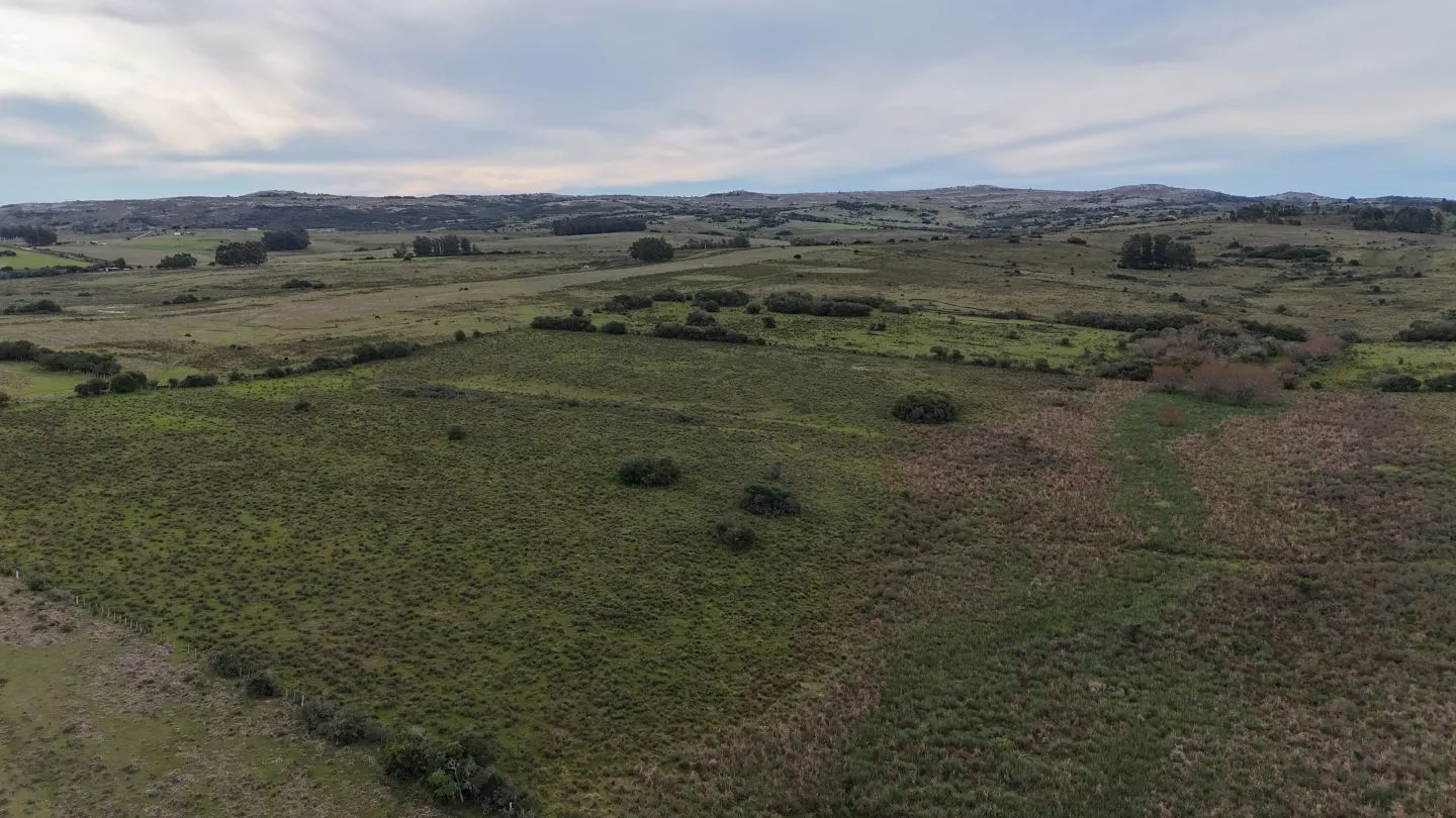 Campo de 30ha  en Maldonado con cañada y buen acceso — foto 11
