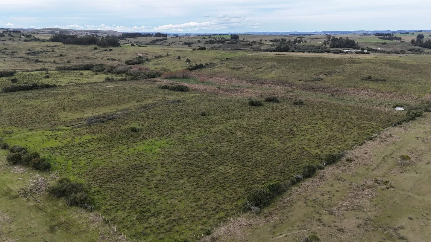Campo de 30ha  en Maldonado con cañada y buen acceso — foto 12