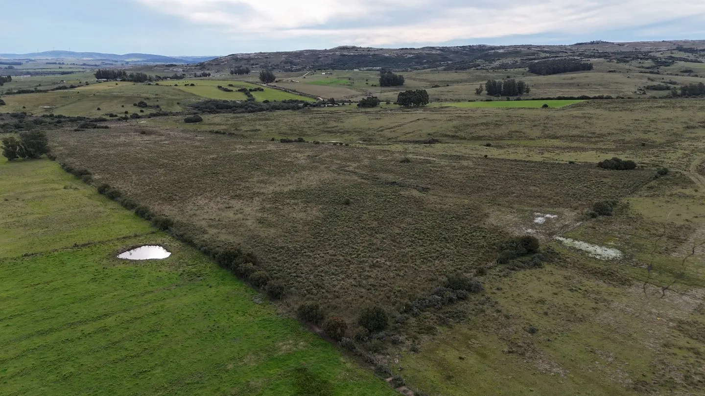 Campo de 30ha  en Maldonado con cañada y buen acceso — foto 13