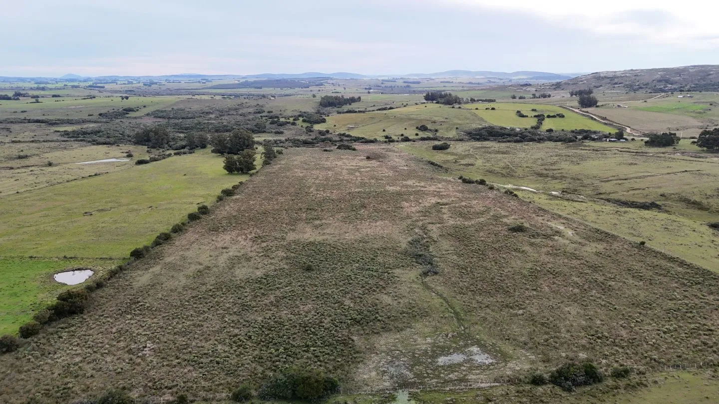 Campo de 30ha  en Maldonado con cañada y buen acceso — foto 14