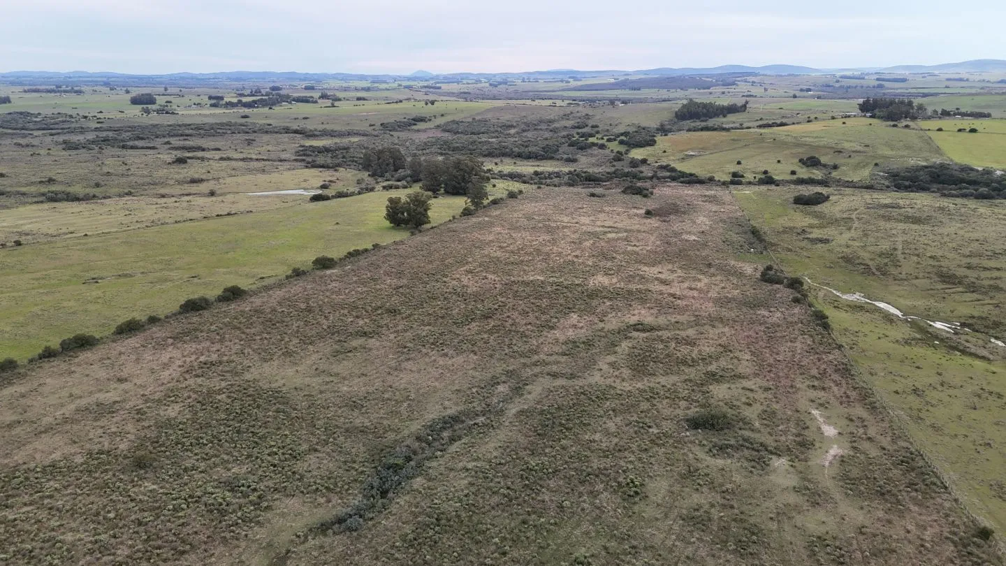 Campo de 30ha  en Maldonado con cañada y buen acceso — foto 15