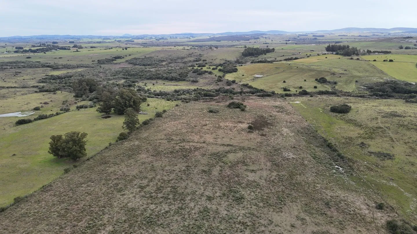 Campo de 30ha  en Maldonado con cañada y buen acceso — foto 16