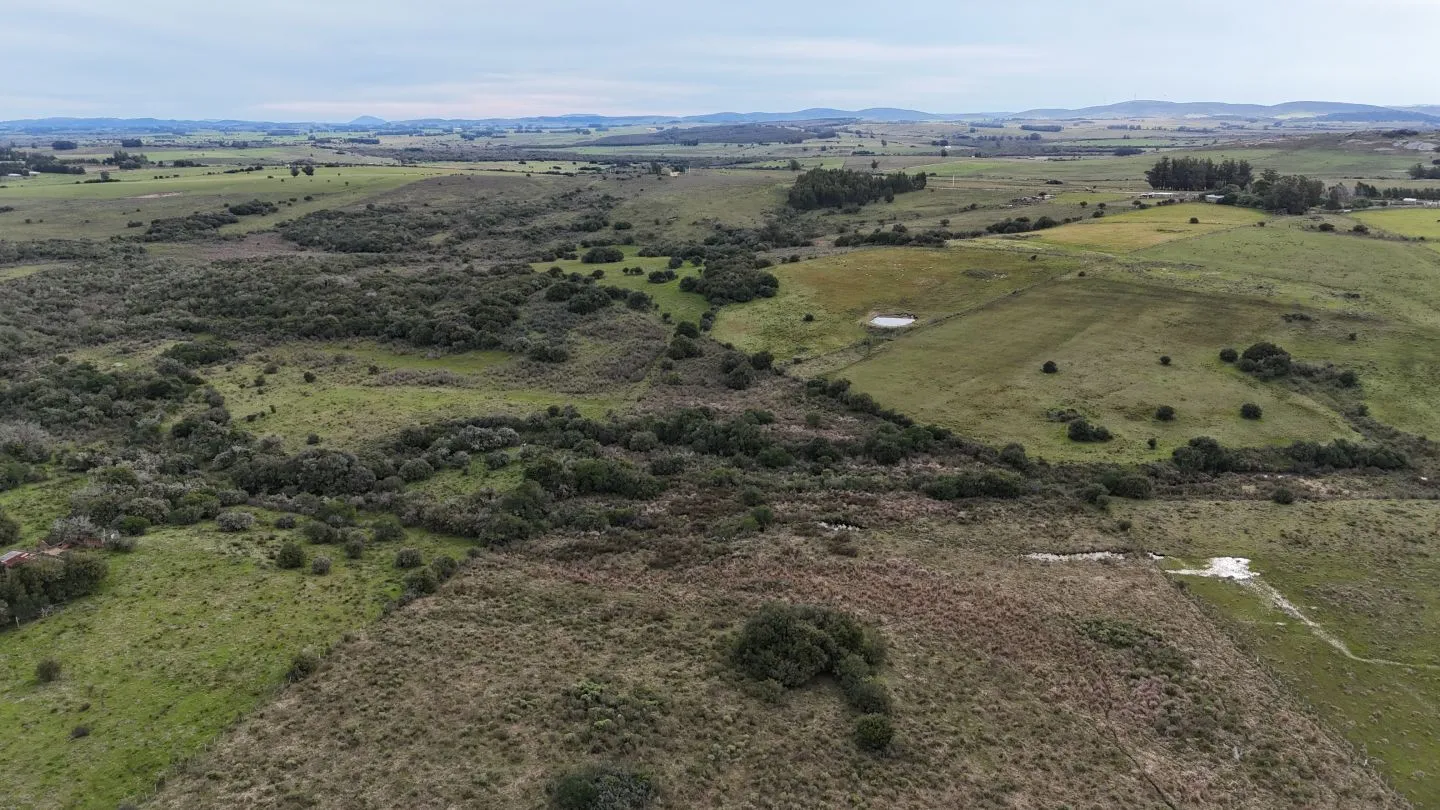 Campo de 30ha  en Maldonado con cañada y buen acceso — foto 17