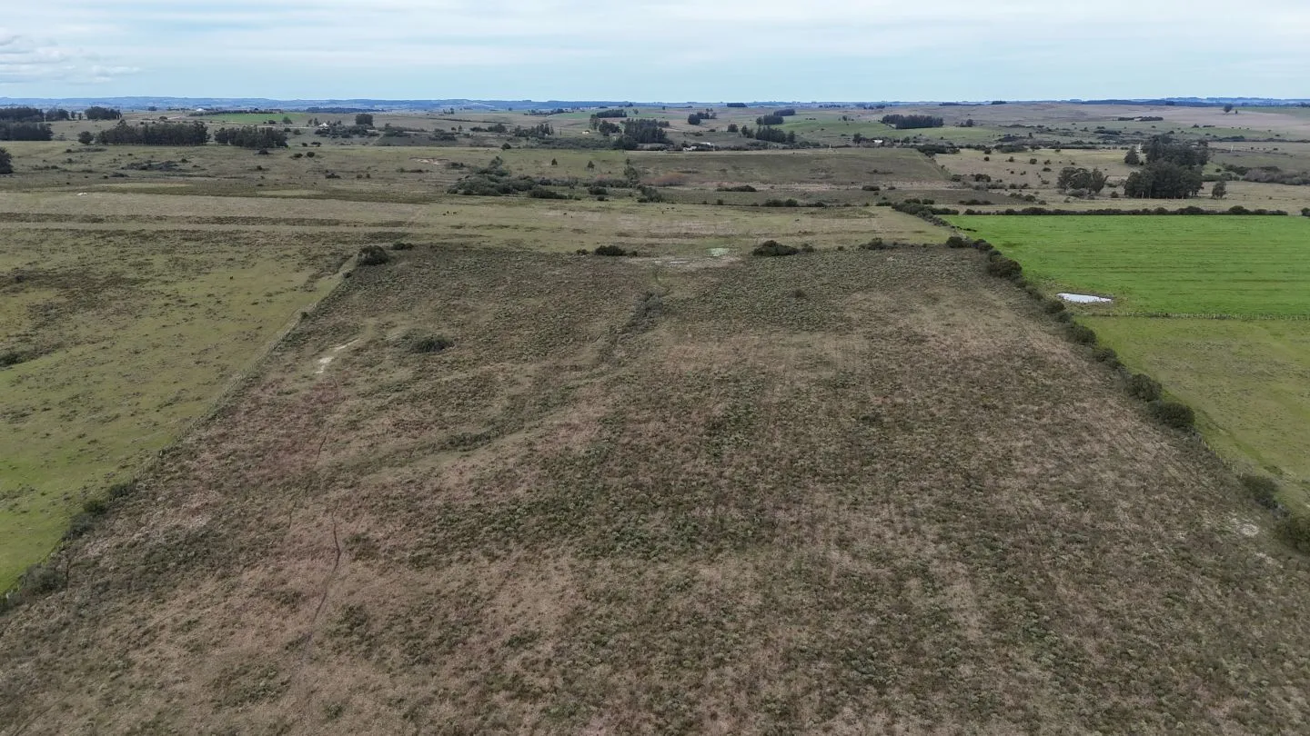 Campo de 30ha  en Maldonado con cañada y buen acceso — foto 18