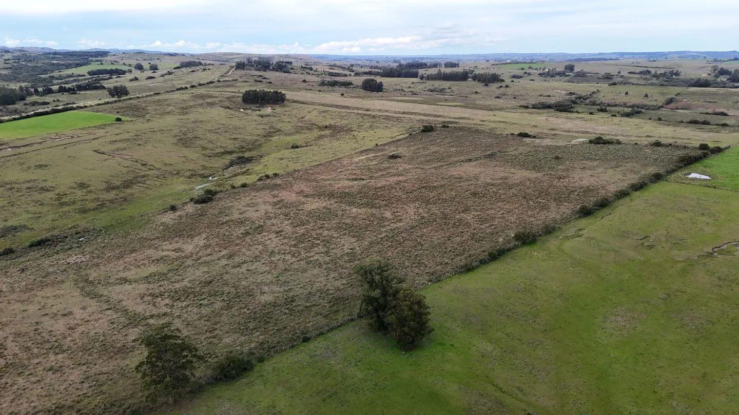 Campo de 30ha  en Maldonado con cañada y buen acceso — foto 19