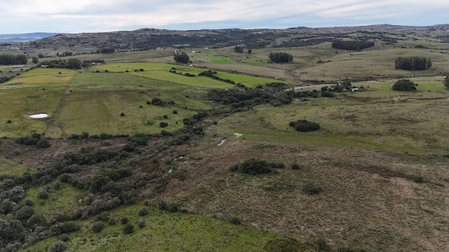 Campo de 30ha  en Maldonado con cañada y buen acceso — foto 20