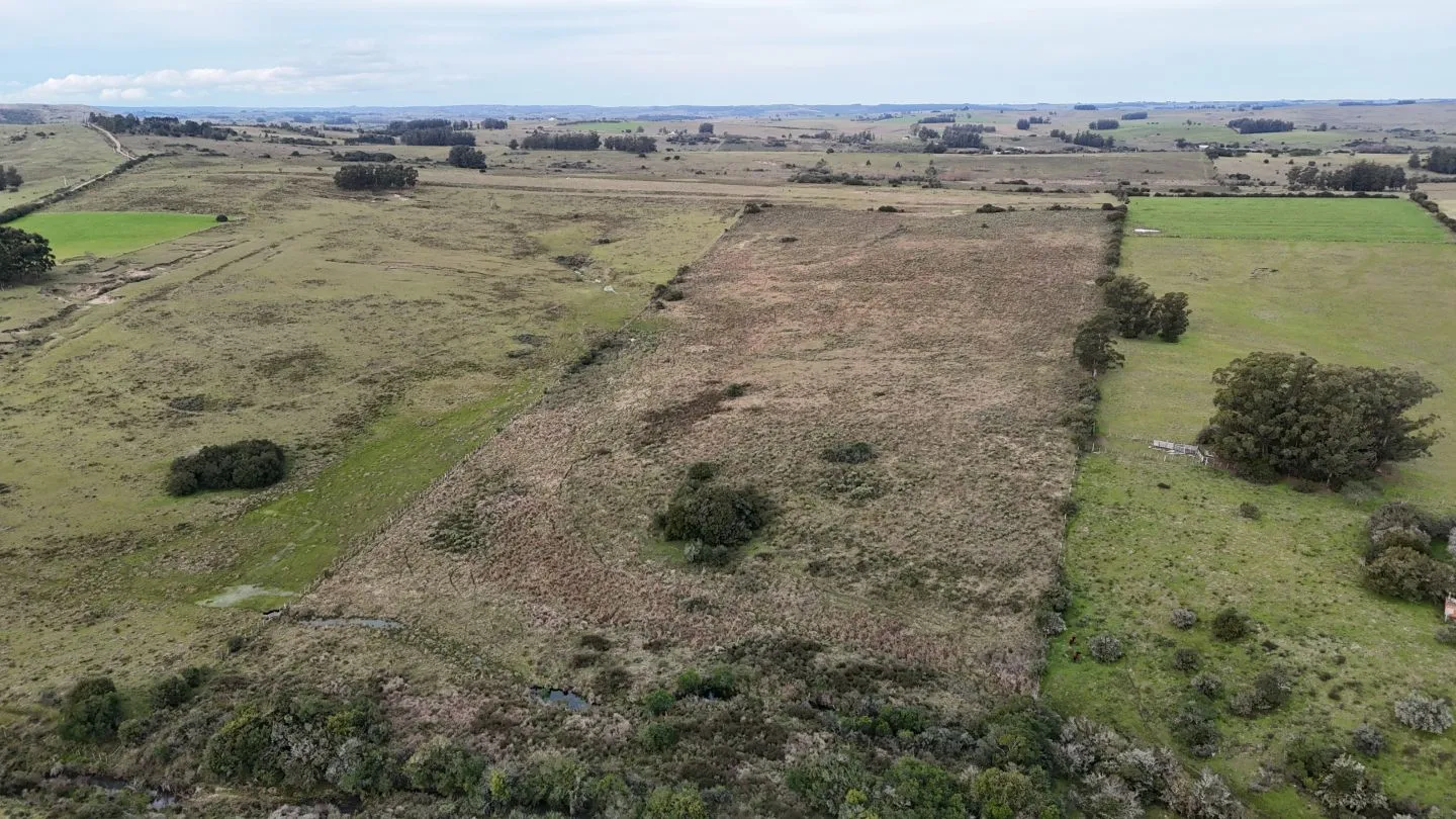 Campo de 30ha  en Maldonado con cañada y buen acceso — foto 21