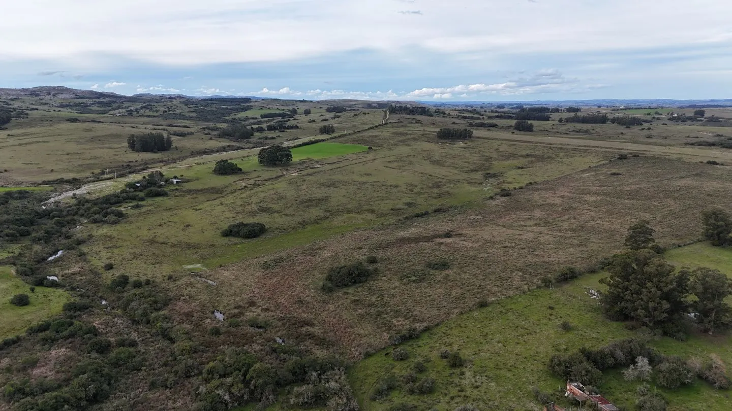 Campo de 30ha  en Maldonado con cañada y buen acceso — foto 22