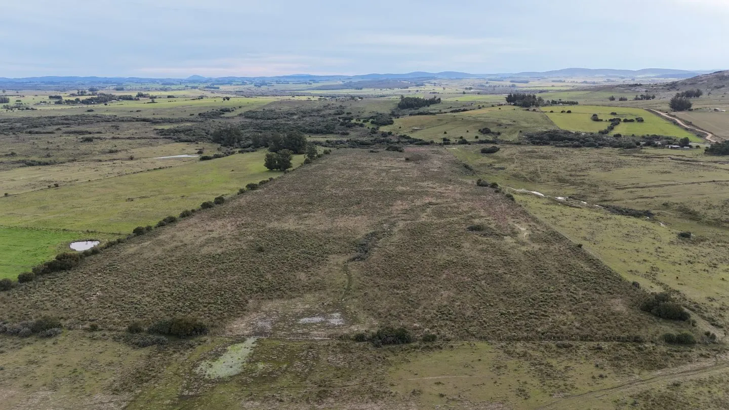 Campo de 30ha  en Maldonado con cañada y buen acceso — foto 23