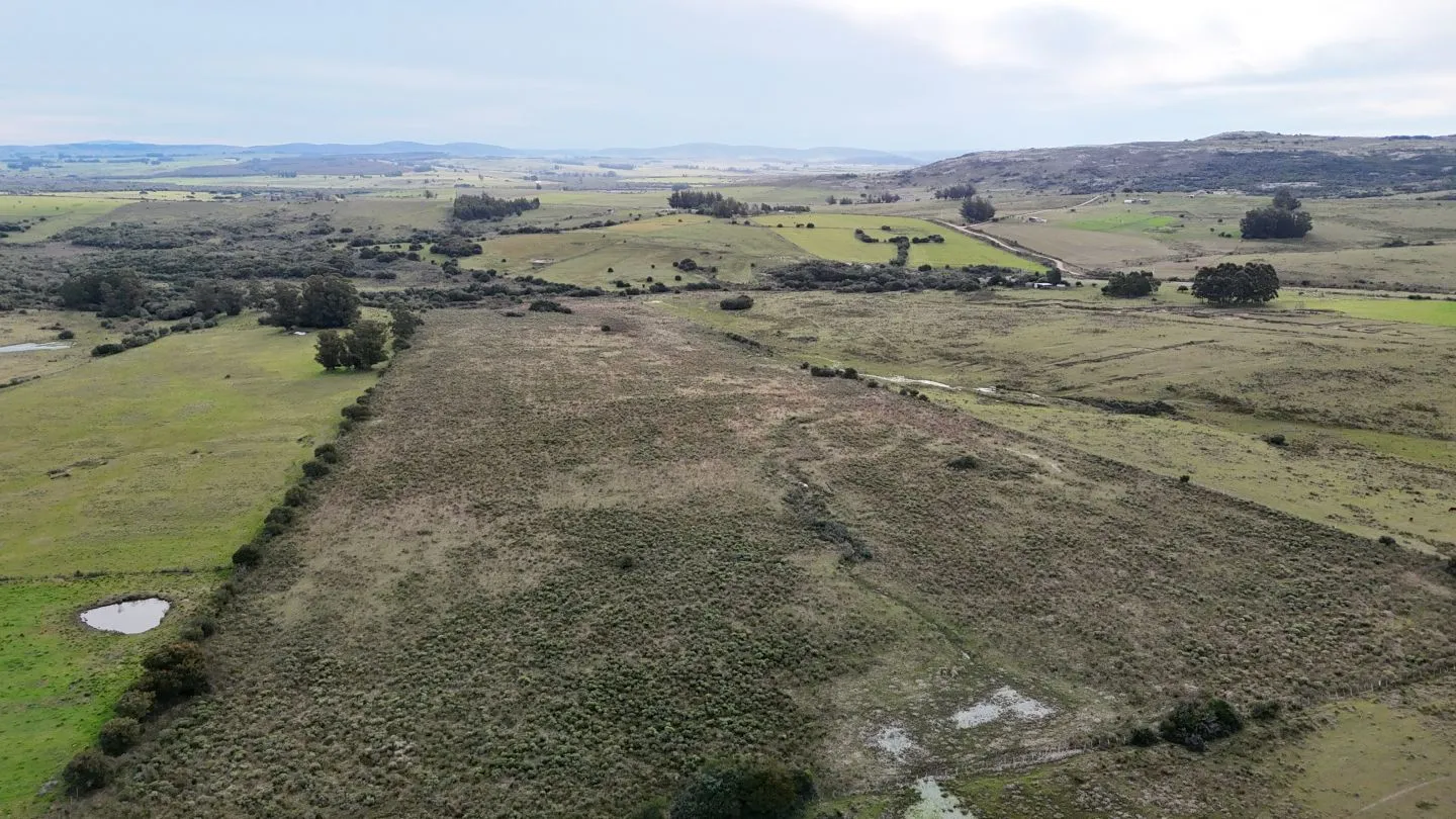 Campo de 30ha  en Maldonado con cañada y buen acceso — foto 24