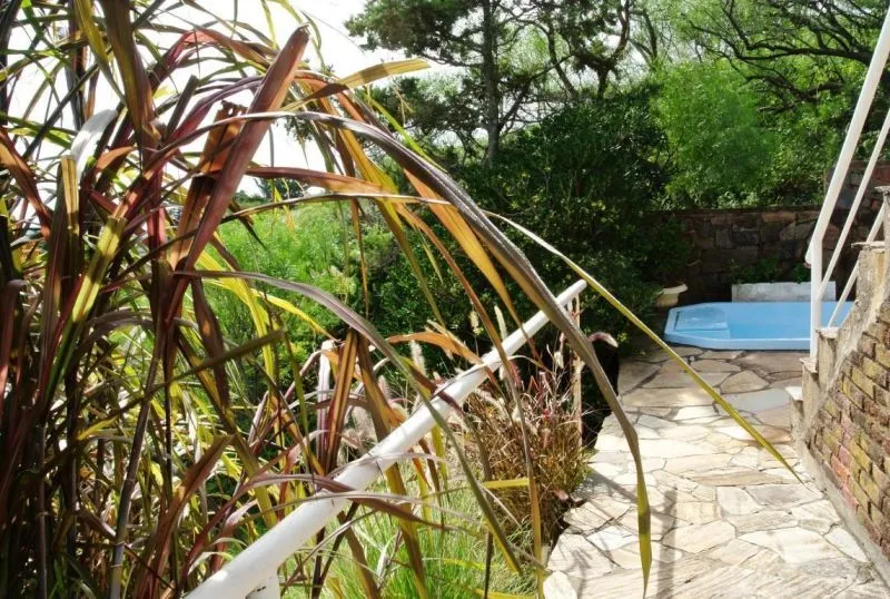 Venta casa 3 dormitorios - Punta Ballena — foto 18
