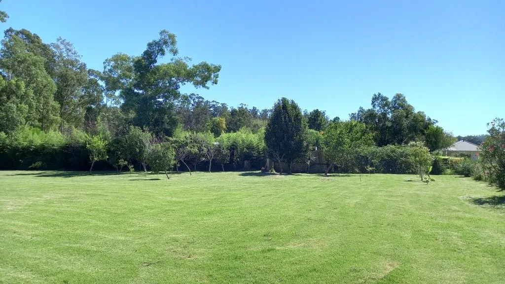 VENTA CASA EL TESORO 421 M2 C/5 DORM, 4500 M2 DE TERRENO — foto 4