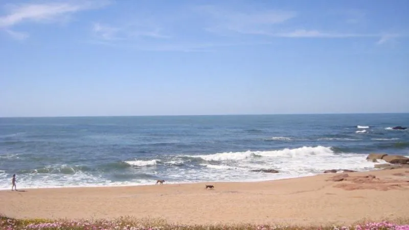 2 DORMITORIOS | Las Gaviotas — foto 11